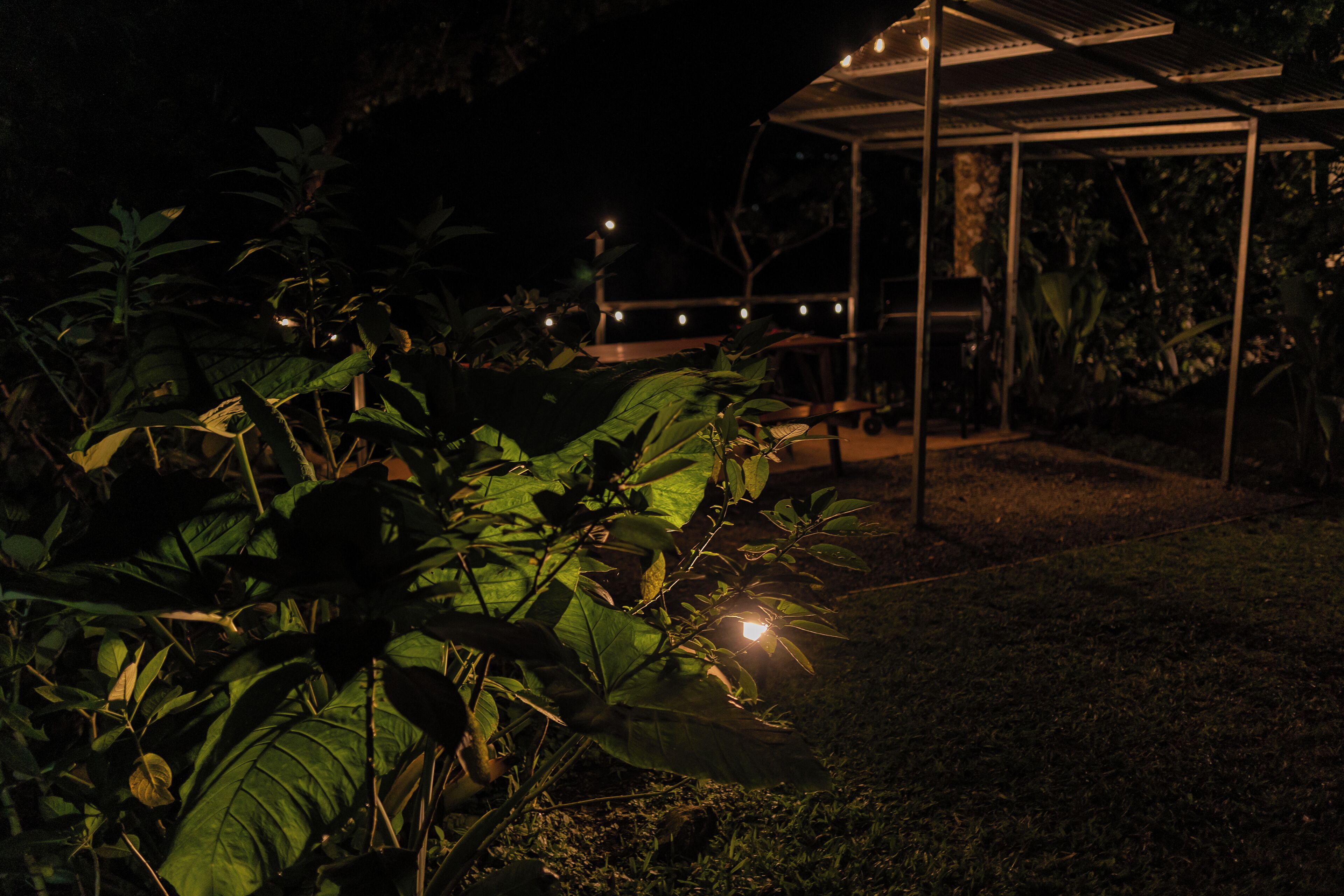 Rumah, 1 kamar tidur, patio, pemandangan kebun | Teras/patio