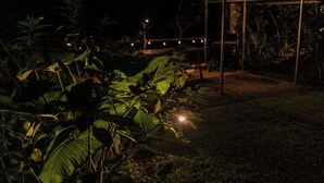 A gazebo with a metal roof and string lights, surrounded by lush greenery. - "bosquelago" Houserental (Tronadora)
