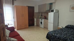 Une pièce compacte comprenant un coin cuisine, un lave-linge, un lit et un canapé.