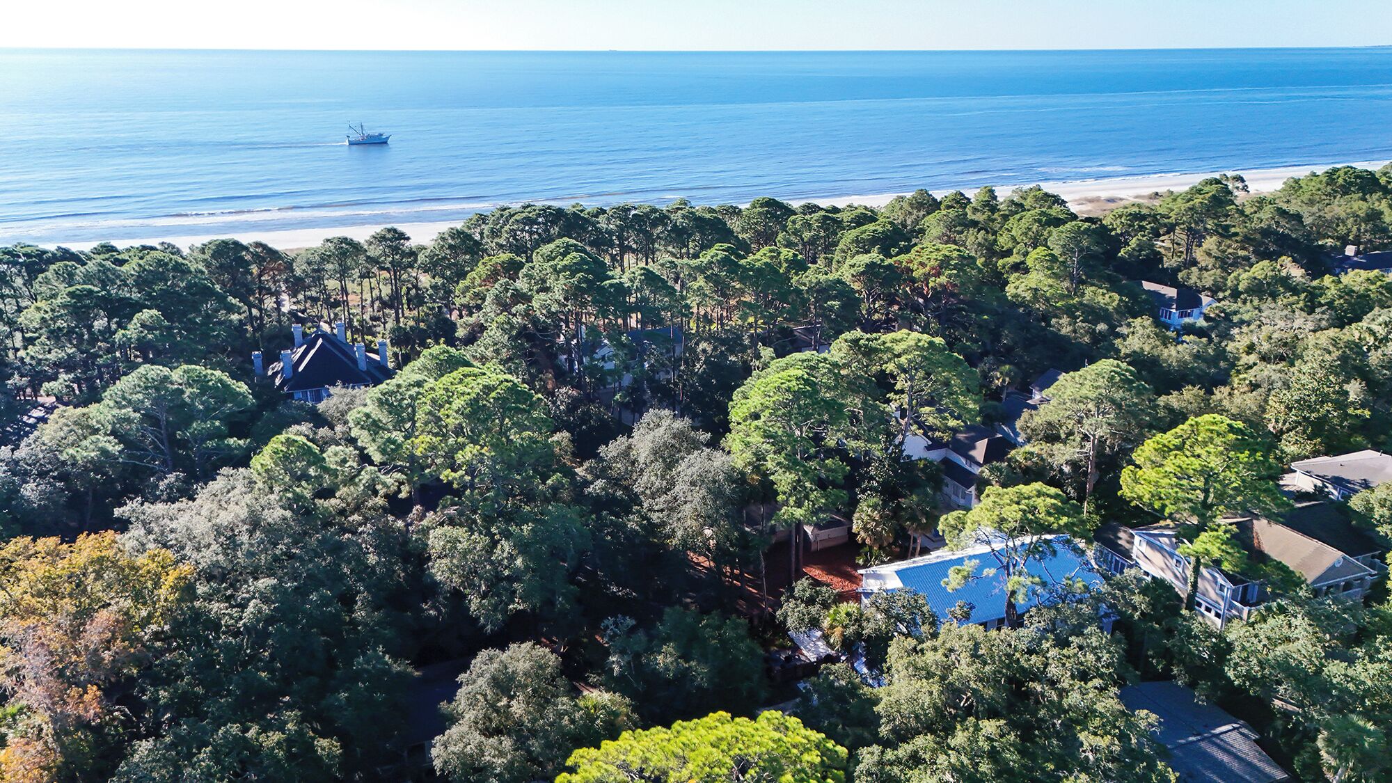 An aerial view of a residential area with dense trees, houses, and a beach with a boat in the distance.