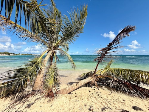 Apartment T3 by the sea in Saint François