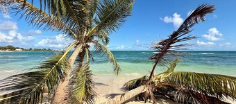 Apartment T3 by the sea in Saint François