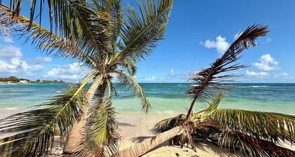 Apartment T3 by the sea in Saint François