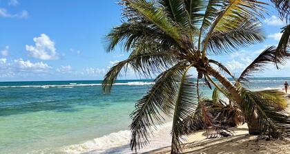 Appartement T3 en bord de mer à Saint François