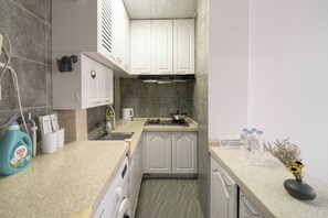 Basic Apartment | Private kitchenette