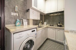 Basic Apartment | Private kitchenette