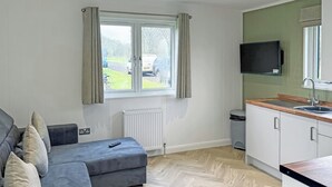 A modern living room with a grey sofa, a window with curtains, a radiator, and a kitchen area with a sink and cabinets.