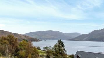 A house with a view of a lake and mountains.