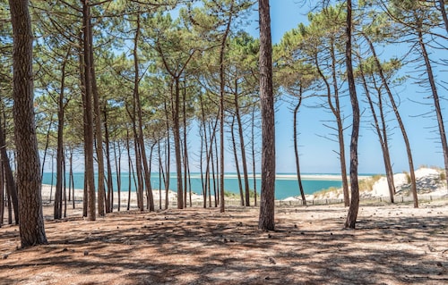 Belle maison landaise