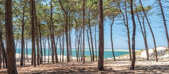 Belle maison landaise