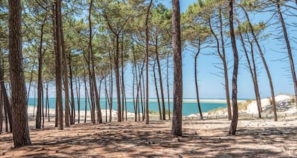 Belle maison landaise