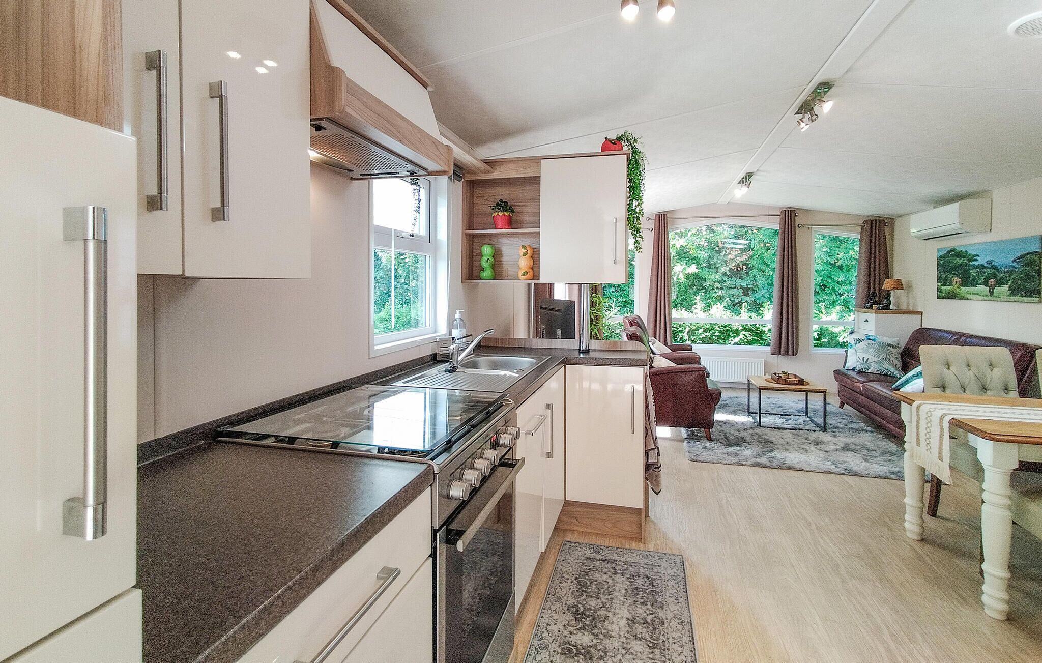 Fridge, oven, stovetop, dishwasher