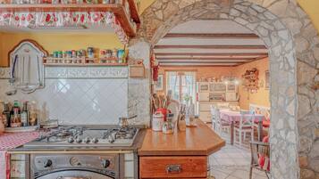 Casa familiar, 3 habitaciones (Holiday Home Rozina) | Cocina privada | Refrigerador, microondas, horno y parrilla de estufa