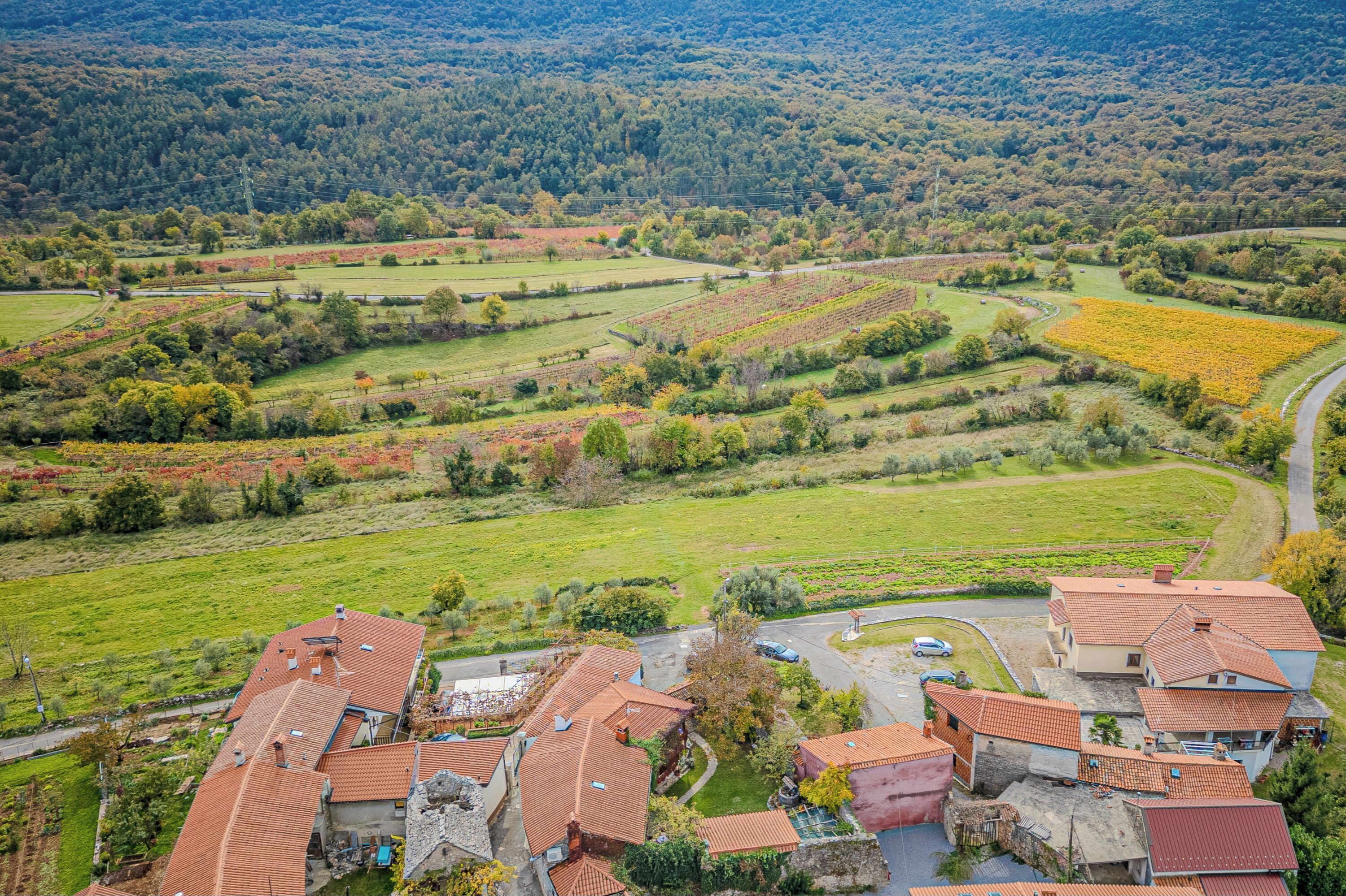 Family House, Multiple Bedrooms (Holiday Home Rozina) | Aerial view