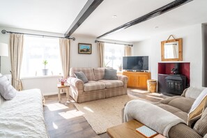 TV, fireplace - Truwell, Foulsham, Norfolk (Foulsham)