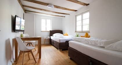 Charming apartment in Karlsruhe Altea