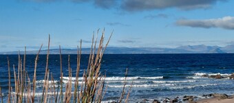 Entire House and Artist Cottage sleeps 15 people