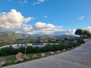 Property grounds - L'ALBA ROSSA 117 (Serra-di-Ferro)