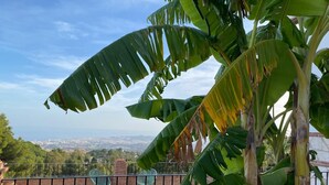 Ein Pool mit Blick auf eine Stadtlandschaft, umgeben von üppigen Bananenstauden.