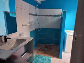 Secador de cabelo, toalhas de banho, papel higiênico 