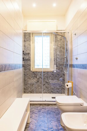 Regadera, secadora de cabello, bidet, toallas 