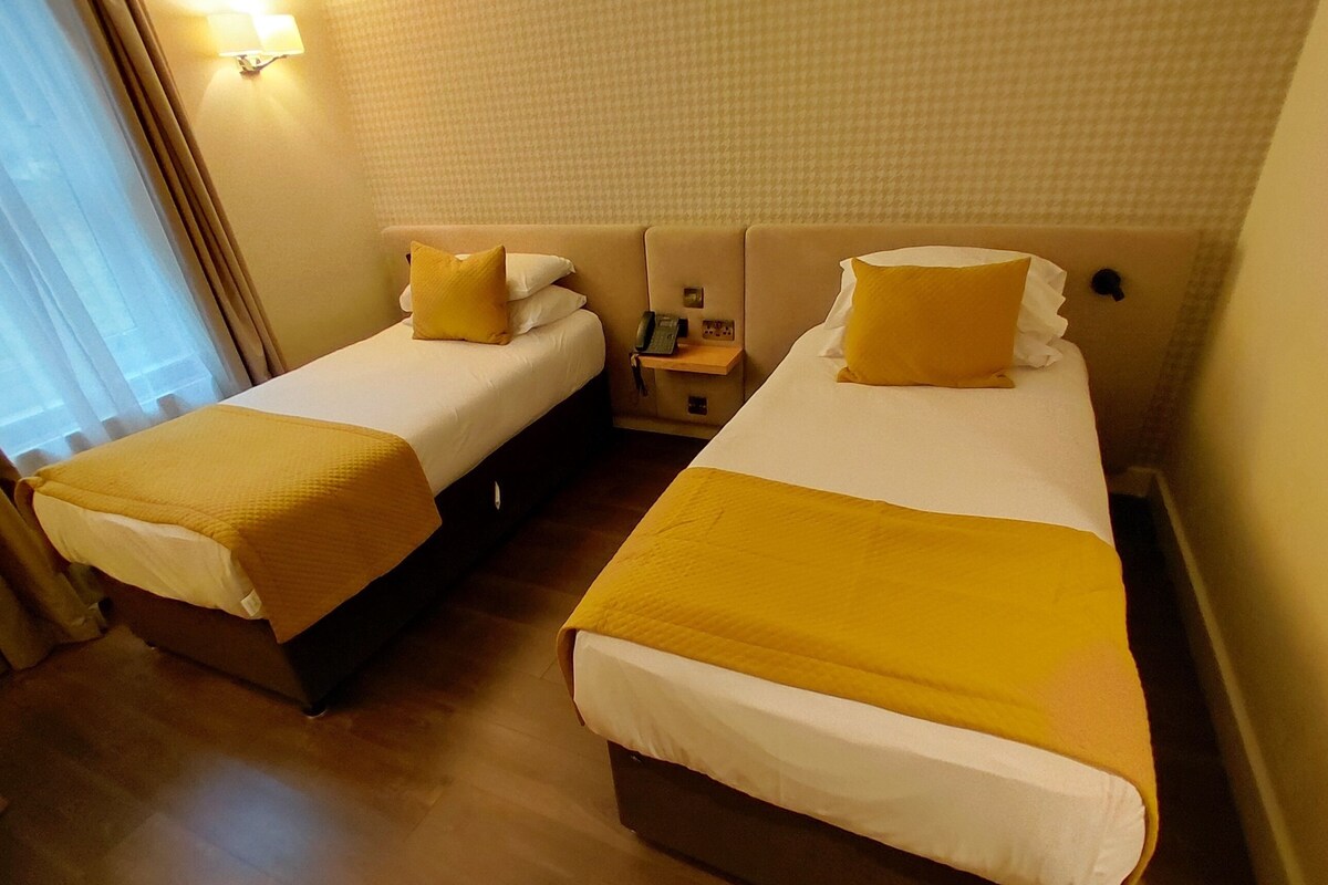 Standard Twin Room | Desk, laptop workspace, iron/ironing board, WiFi (free)