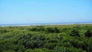 A coastal landscape with dense greenery and a clear view of the ocean. - 1 King Bed Non-Smoking (Ocean Shores)