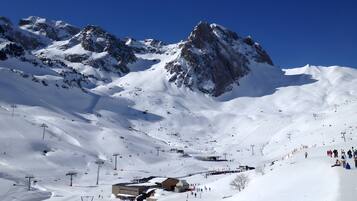 Sneeuw- en skisporten