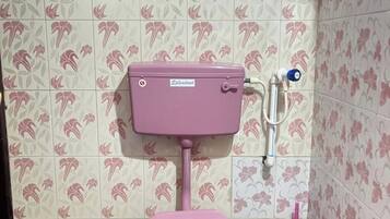 Shower, hair dryer, towels, toilet paper