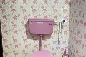 Ducha, secador de pelo, toallas y papel higiénico