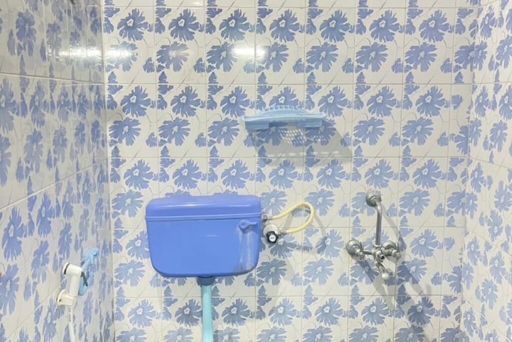 Shower, hair dryer, towels, toilet paper