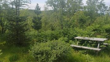 المنطقة المحيطة بالمنشأة