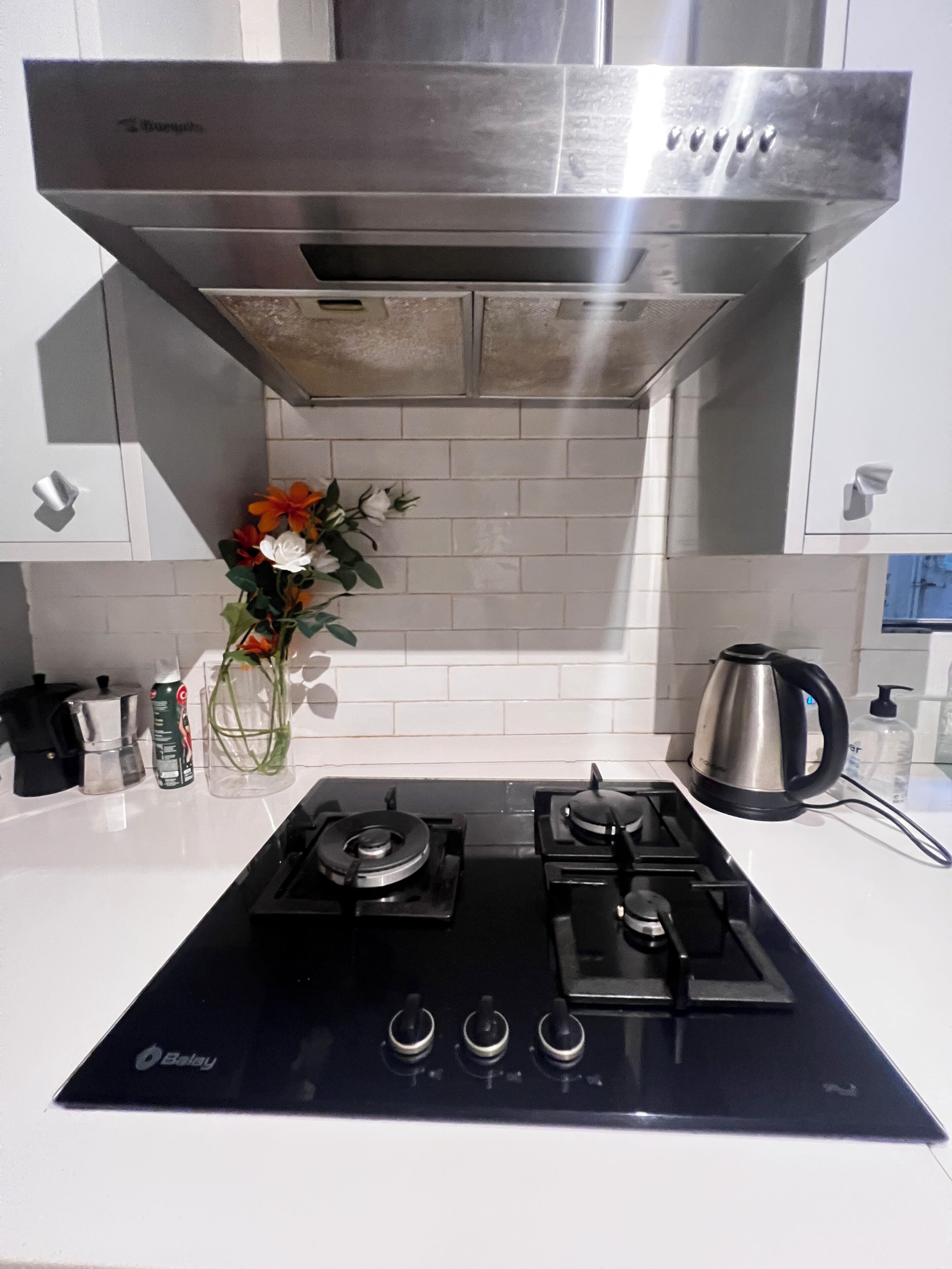 Microondas, horno, placa de cocina y lavavajillas