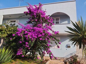 Ein Gebäude mit einem Balkon und einem großen, blühenden Baum.