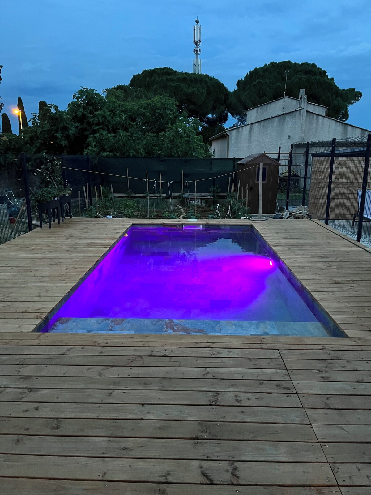 Image de profil de l’hôte