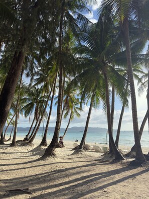 Ein Strand mit Palmen und freiem Blick auf den Ozean.