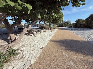 Property grounds - Sleeps 12 ~Sparkling Pool Home~ 1 block to Gulf Beaches. 4 bdrm 3 bath. Lido Key (Sarasota)