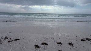 Una playa con arena mojada y algas marinas, bajo un cielo nublado.