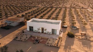 A modern white building with a flat roof, surrounded by a desert landscape with sparse vegetation.