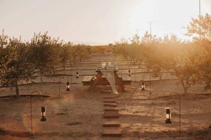 Property grounds - Joshua Tree Olive Farm • Serenity, Spa, Views (Joshua Tree)