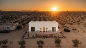 A desert-style building with a flat roof, surrounded by a garden with small trees and shrubs.