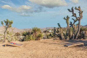 المنطقة المحيطة بالمنشأة