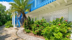 Un sendero lleva a un edificio con paredes exteriores azules y blancas, rodeado de exuberante follaje y plantas florecientes.