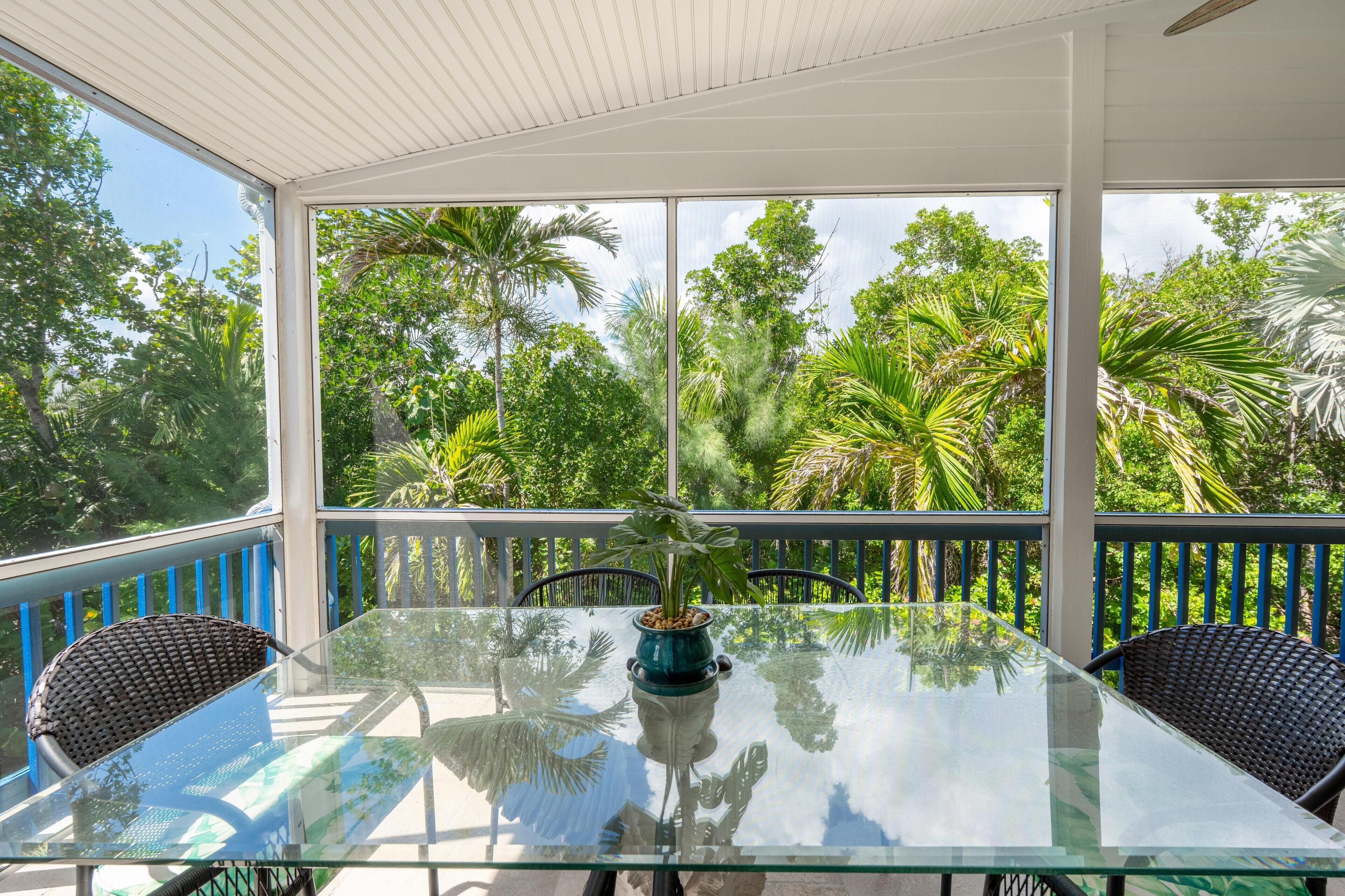 A glass-top table with chairs, a potted plant, and a view of lush greenery through large windows.