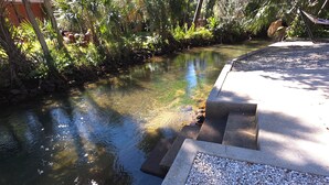 A clear water canal with pebbles at the edge, surrounded by lush greenery and trees. - Weeki Wachee, Florida  Entire Home on Natural Spring - 2 Bed 2 Bath (Weeki Wachee)