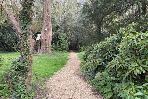 The Snug - See Sussex in Style