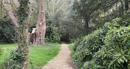 The Snug - See Sussex in Style