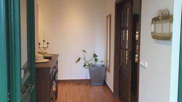 A hallway with a wooden floor, a potted plant, a wall-mounted light fixture, and a door with a mirror.