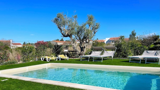 Una piscina con sillas de descanso, un árbol grande y un cielo azul despejado.
