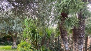 A well-maintained garden with various trees, a grassy lawn, and a small decorative structure. - The garden of Seba, a splendid detached villa surrounded by greenery (Piana Calzata)
